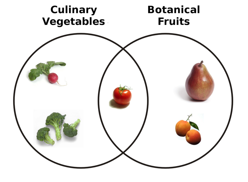 File:800px-Botanical Fruit and Culinary Vegetables.png