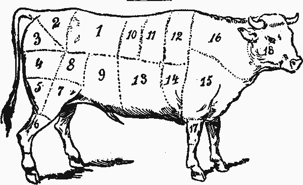 File:Cow-anatomy.gif