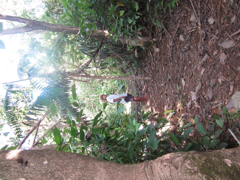 File:11.06.01 SIFMA Luis in Forest.JPG
