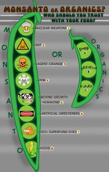 Monsanto or Organics Cartoon Cropped.jpg